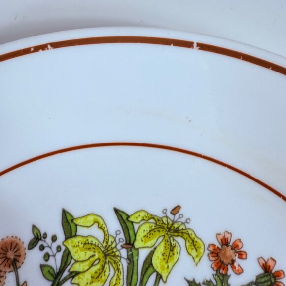 Corelle Indian Summer Dinner Plates Set of 4 VTG Retro Kitchen Table 8.5 Inch - Picture 8 of 11